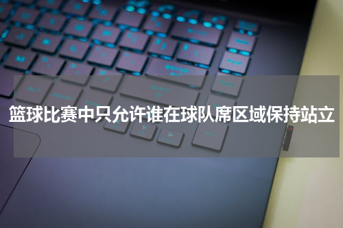 篮球比赛中只允许谁在球队席区域保持站立