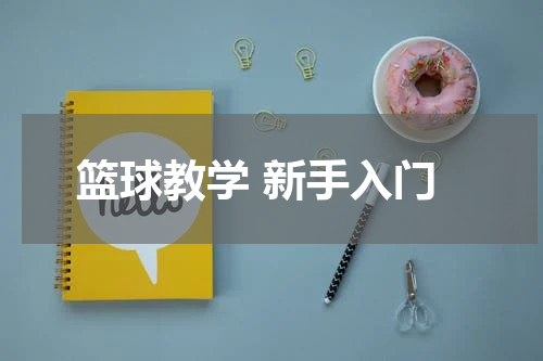 篮球教学 新手入门