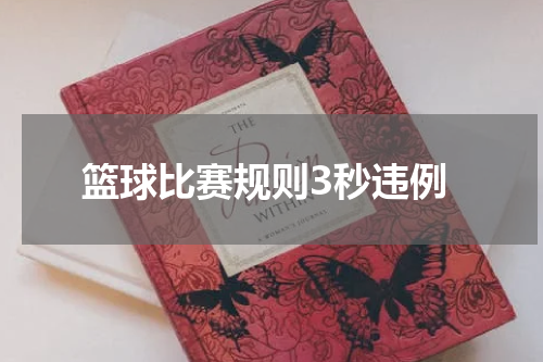 篮球比赛规则3秒违例