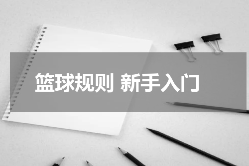 篮球规则 新手入门