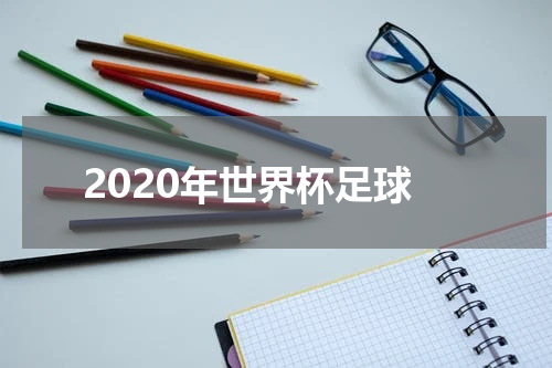 2020年世界杯足球