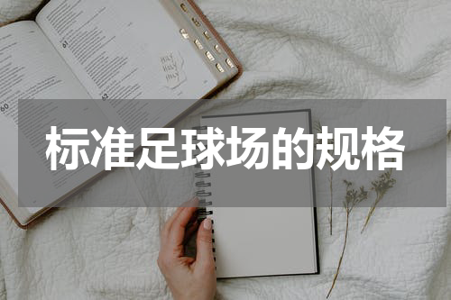 标准足球场的规格