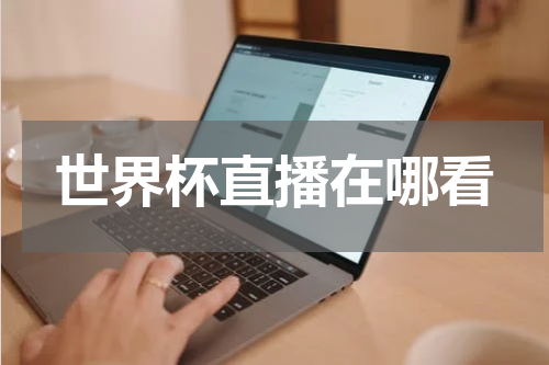 世界杯直播在哪看