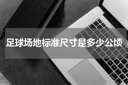 足球场地标准尺寸是多少公顷
