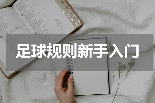 足球规则新手入门