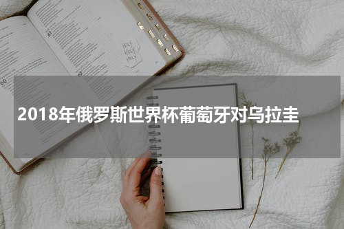 2018年俄罗斯世界杯葡萄牙对乌拉圭