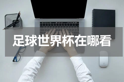 足球世界杯在哪看