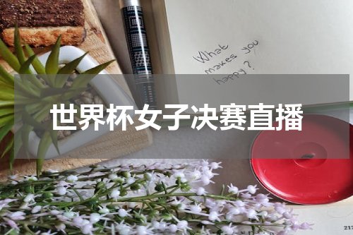 世界杯女子决赛直播