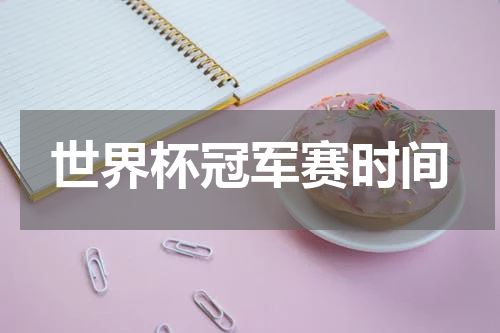 世界杯冠军赛时间