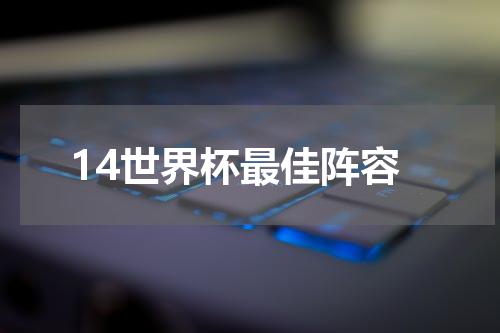14世界杯最佳阵容