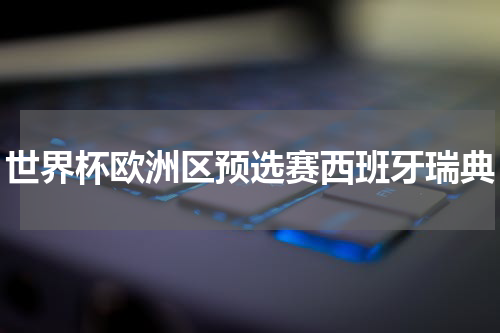世界杯欧洲区预选赛西班牙瑞典
