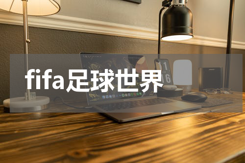 fifa足球世界
