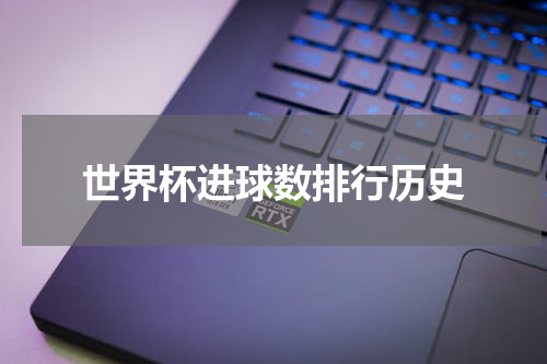 世界杯进球数排行历史