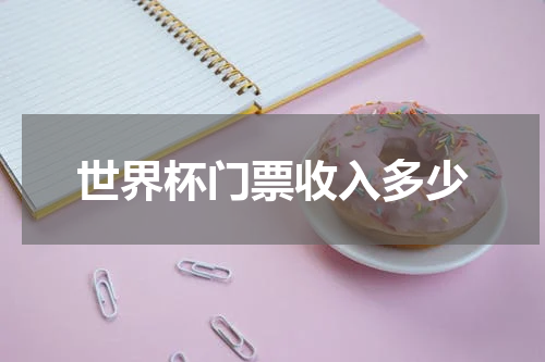 世界杯门票收入多少