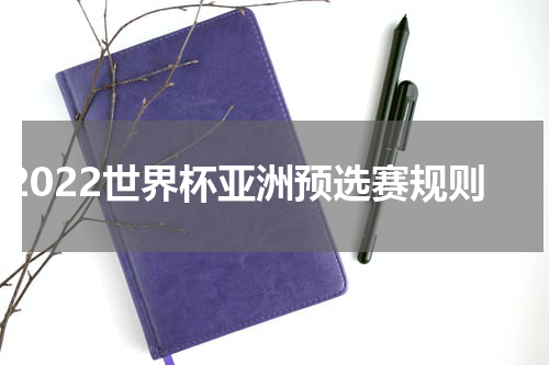 2022世界杯亚洲预选赛规则