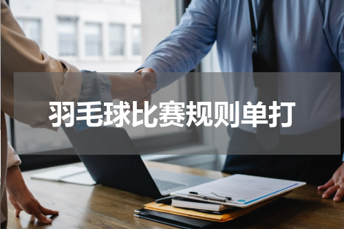 羽毛球比赛规则单打