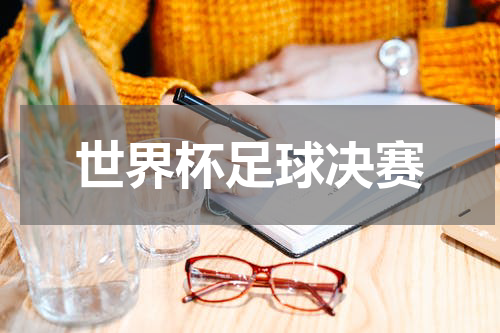 世界杯足球决赛