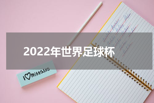 2022年世界足球杯