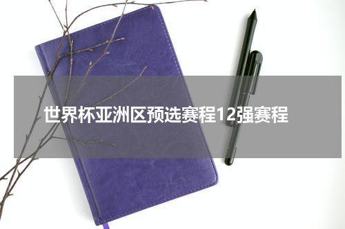 世界杯亚洲区预选赛程12强赛程