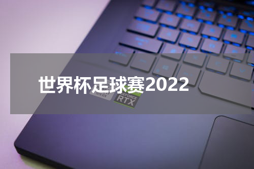 世界杯足球赛2022