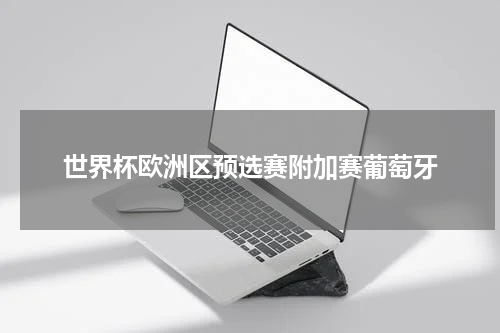 世界杯欧洲区预选赛附加赛葡萄牙