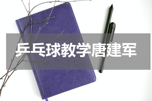 乒乓球教学唐建军