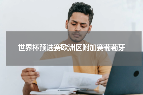 世界杯预选赛欧洲区附加赛葡萄牙