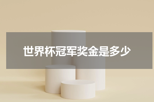 世界杯冠军奖金是多少
