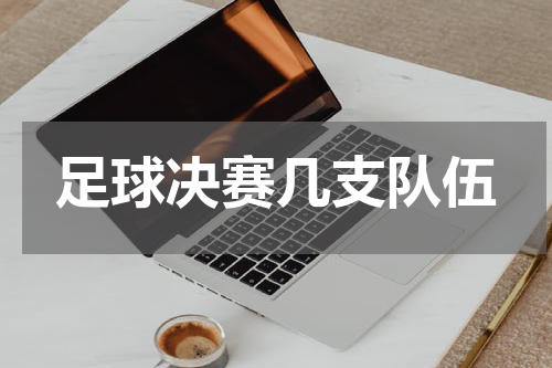 足球决赛几支队伍