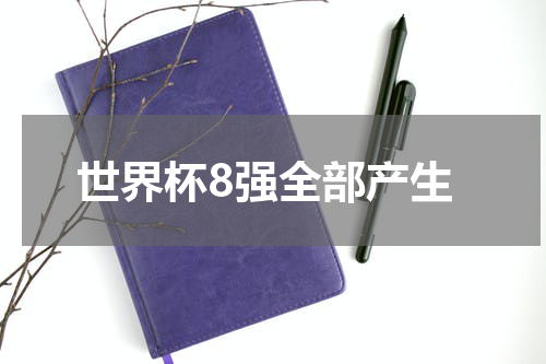 世界杯8强全部产生