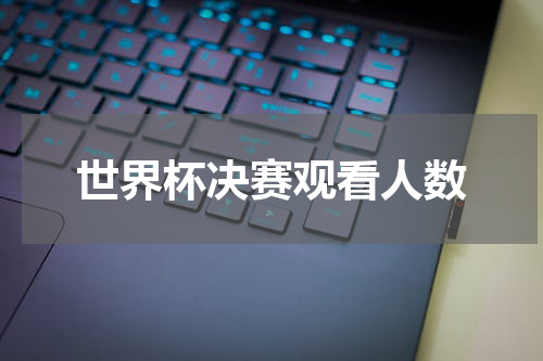 世界杯决赛观看人数