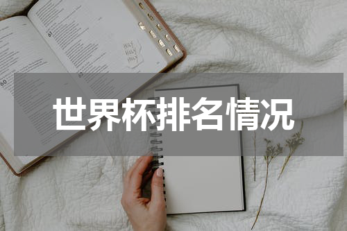 世界杯排名情况