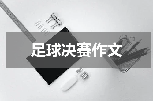 足球决赛作文
