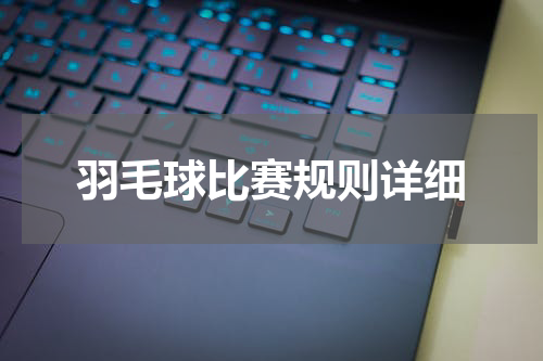 羽毛球比赛规则详细