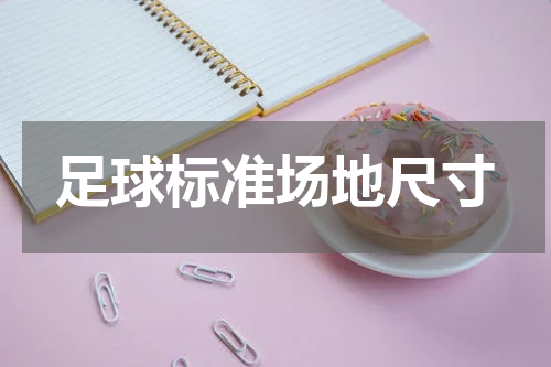 足球标准场地尺寸