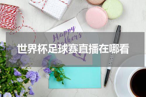 世界杯足球赛直播在哪看