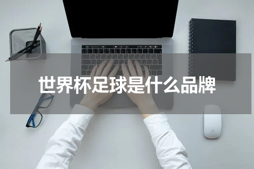 世界杯足球是什么品牌