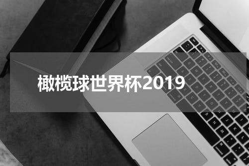 橄榄球世界杯2019