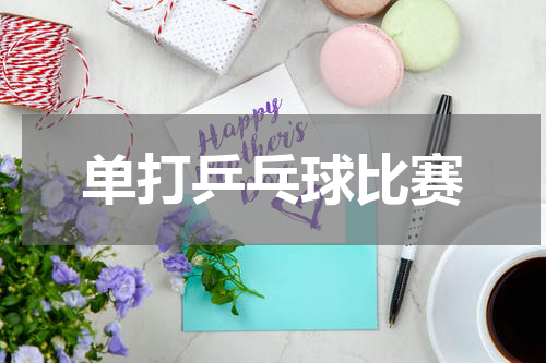 单打乒乓球比赛
