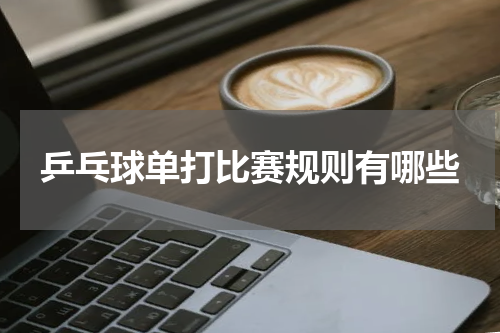 乒乓球单打比赛规则有哪些