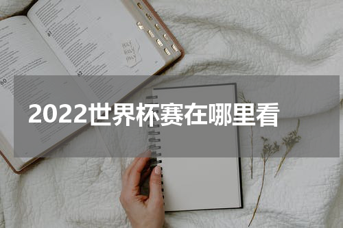 2022世界杯赛在哪里看