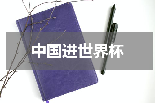 中国进世界杯
