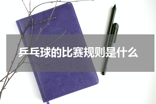 乒乓球的比赛规则是什么