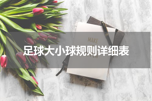 足球大小球规则详细表