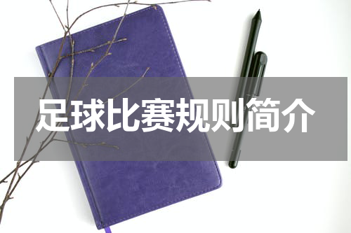 足球比赛规则简介