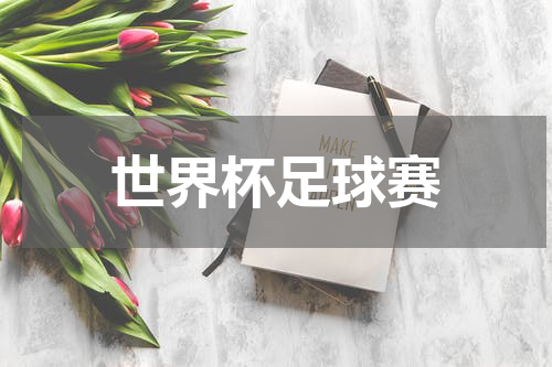 世界杯足球赛