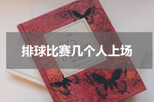 排球比赛几个人上场
