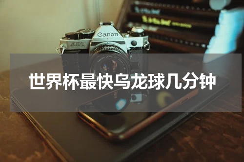 世界杯最快乌龙球几分钟