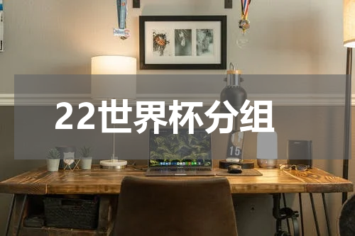 22世界杯分组