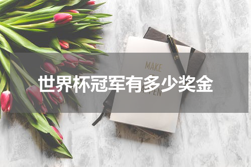 世界杯冠军有多少奖金